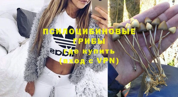 дурь Алексеевка