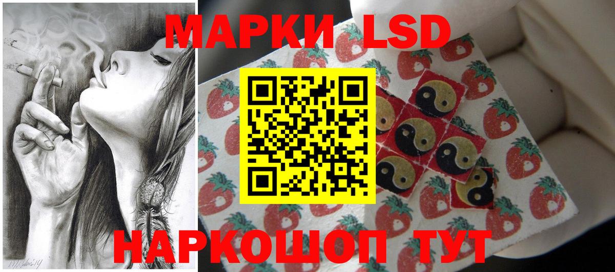 Лсд 25 экстази ecstasy  KRAKEN как зайти  LSD-25 экстази ecstasy  Нефтекумск  Вход с VPN 