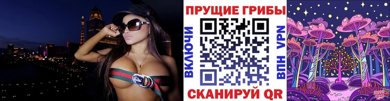 дарнет шоп  Нефтекумск  Псилоцибиновые грибы ЛСД 