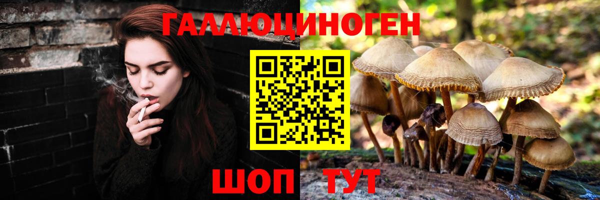 Галлюциногенные грибы мицелий Нефтекумск
