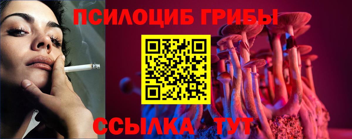 Псилоцибиновые грибы GOLDEN TEACHER  Вход с VPN  Нефтекумск 